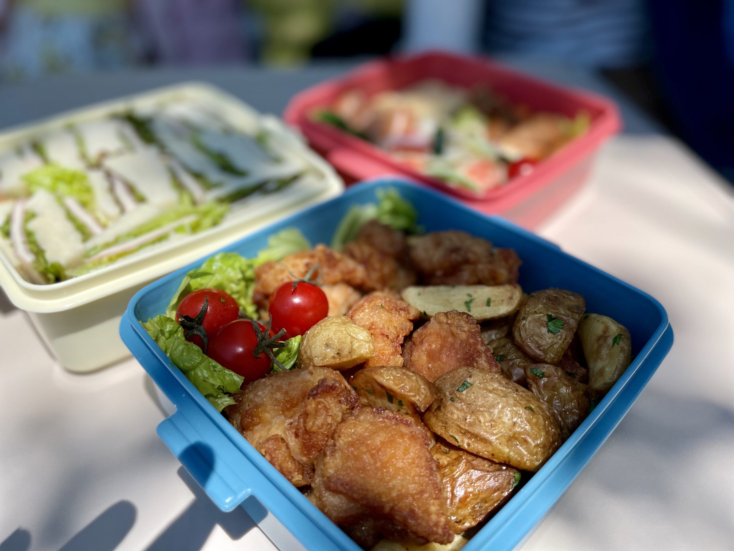 手作り弁当を持って6歳 3歳の子供とピクニックしてきました あじしおごはん