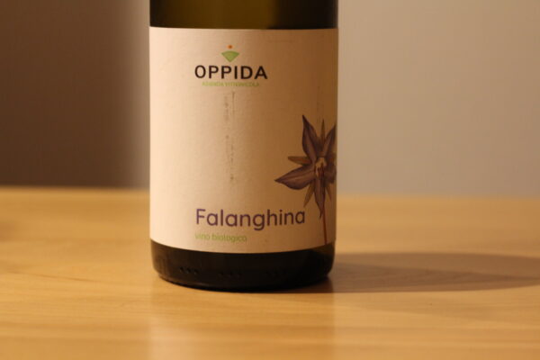 コストコ白ワイン Oppida Falanghinaを購入したのでレビュー あじしおごはん